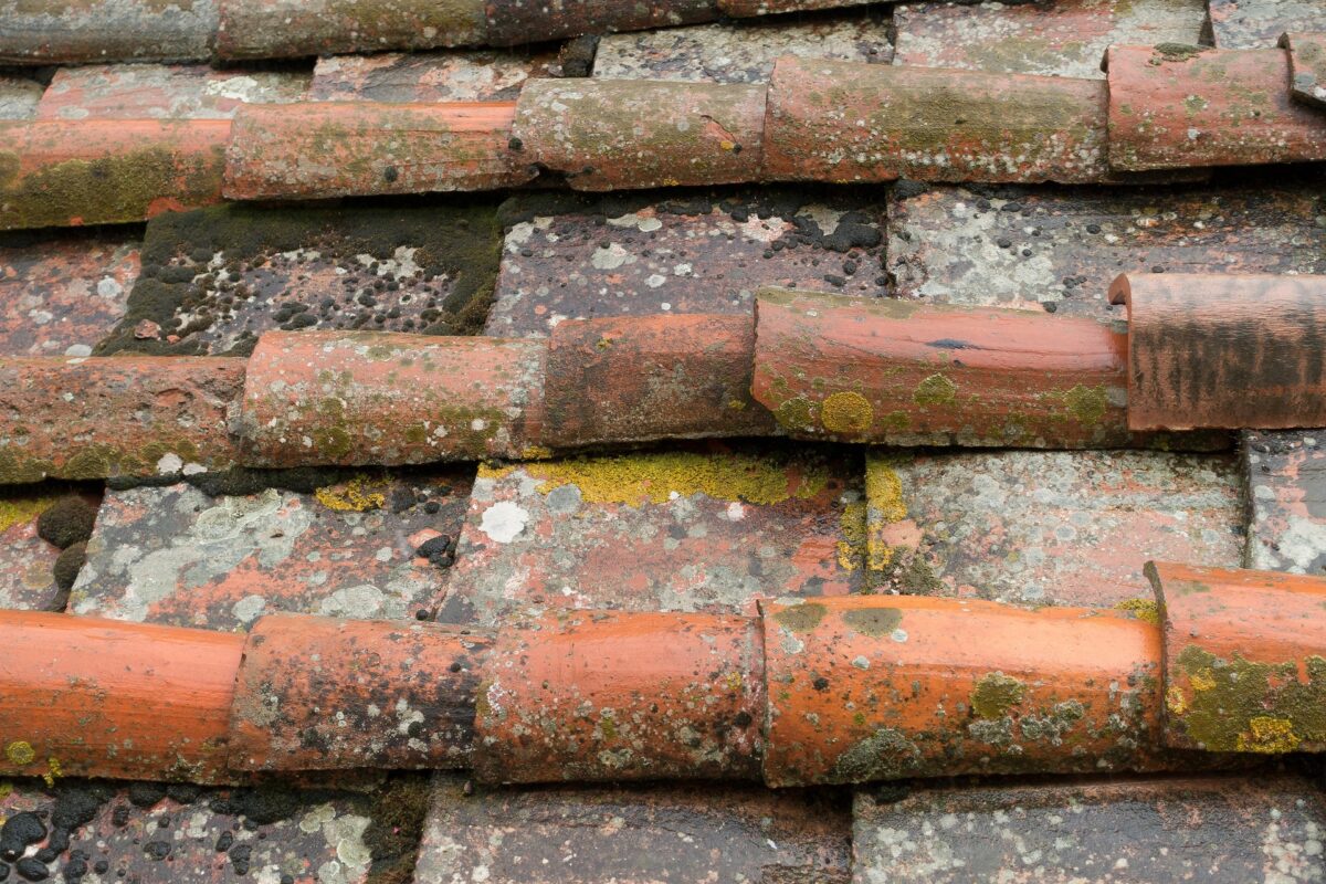 L’image actuelle n’a pas de texte alternatif. Le nom du fichier est : stux-roof-panels-984741_1920.jpg