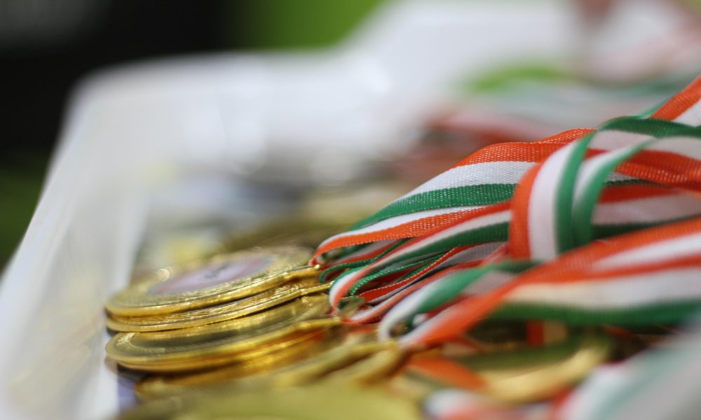 En Charente, dix jeunes médaillés d’or se qualifient pour la finale nationale des Olympiades des métiers