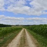 Un agriculteur ornais demande la régularisation d’un chemin rural oublié depuis vingt ans