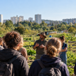Crédit Angers Info - illustration / Une rencontre autour de l’agriculture et des solidarités locales, à l’image des thèmes portés par l’initiative « Nos quartiers en campagne