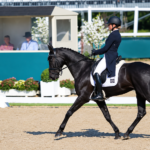Mondial du Lion : les premiers chevaux de 7 ans sont passés en dressage, un Français dans le top 4 provisoire Crédit Angers Info / Lara de Liedekerke-Meier en tête provisoire du dressage des 7 ans