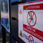 Dengue en Maine-et-Loire : une pulvérisation d’insecticide en prévision dans cette commune