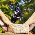 Mondial du Lion 2026 : les meilleurs jeunes chevaux du monde attendus au Lion d’Angers en octobre Le Mondial du Lion Crédit Mutuel revient du 15 au 18 octobre 2026 au parc départemental de l’Isle Briand, au Lion-d’Angers.