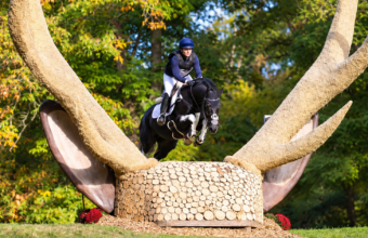 Le Mondial du Lion Crédit Mutuel revient du 15 au 18 octobre 2026 au parc départemental de l’Isle Briand, au Lion-d’Angers.