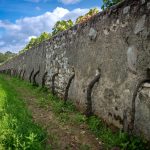 En Maine-et-Loire, ce vignoble historique change d’exploitants Un domaine fondé en 1890, une méthode de culture singulière et un patrimoine hospitalier : le Clos Cristal confie son exploitation à de nouveaux repreneurs, sans changer de propriétaire.