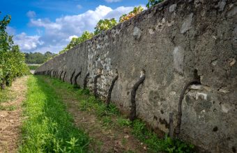Un domaine fondé en 1890, une méthode de culture singulière et un patrimoine hospitalier : le Clos Cristal confie son exploitation à de nouveaux repreneurs, sans changer de propriétaire.