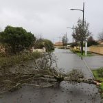 Tempête Austen : 133 interventions des pompiers en Maine-et-Loire, aucun blessé à déplorer