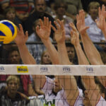 Le Stade Poitevin aborde la nouvelle saison de volley-ball avec des ambitions de sommet