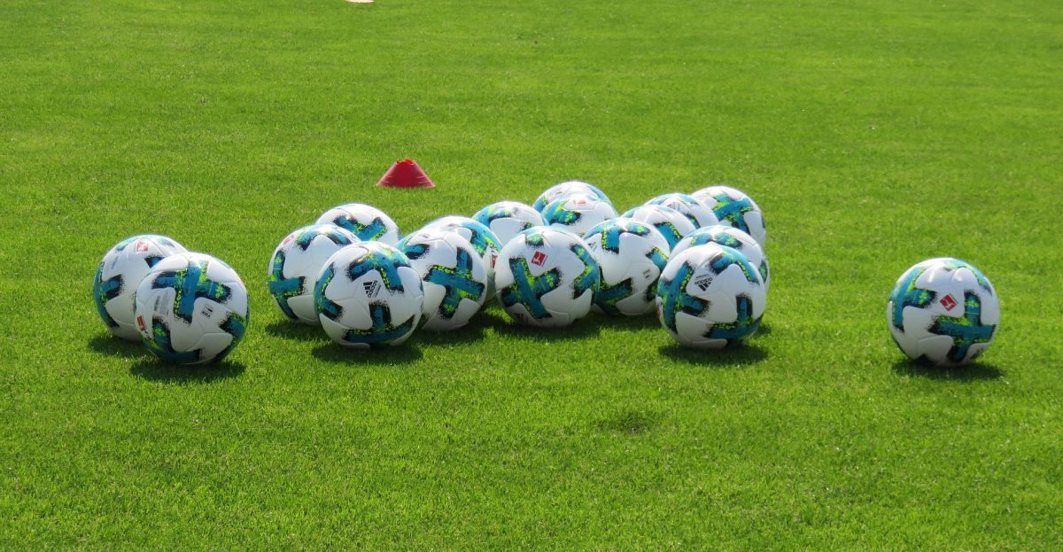 L’image actuelle n’a pas de texte alternatif. Le nom du fichier est : garten-gg-sports-2467178_1920.jpg