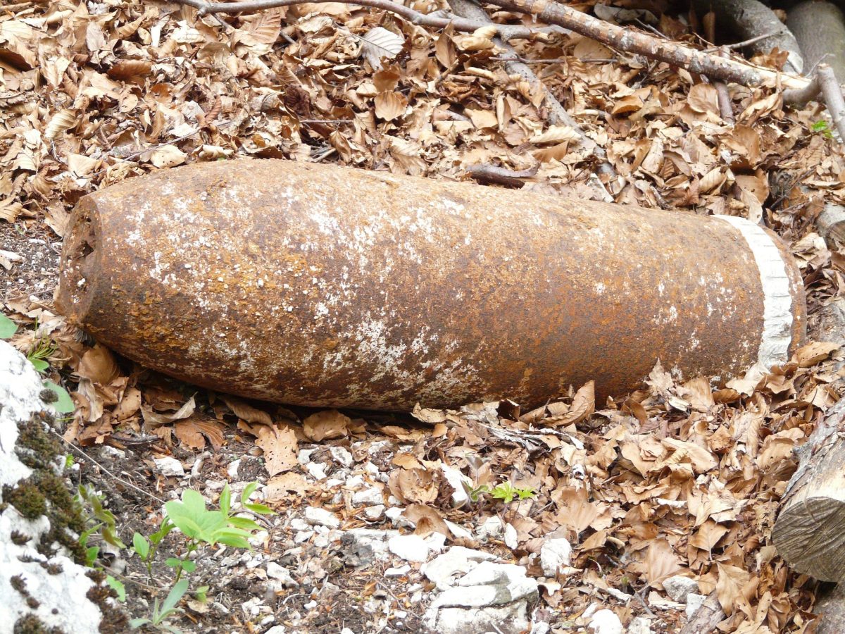 L’image actuelle n’a pas de texte alternatif. Le nom du fichier est : hans-grenade-7107_1920.jpg