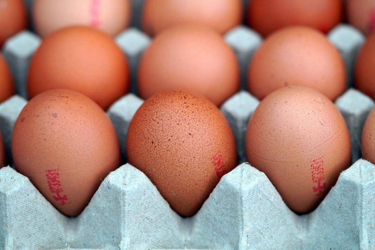 L’image actuelle n’a pas de texte alternatif. Le nom du fichier est : matthiasboeckel-eggs-7570512_1920.jpg