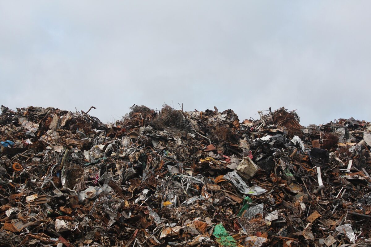 L’image actuelle n’a pas de texte alternatif. Le nom du fichier est : pexels-disposal-1846033_1920.jpg