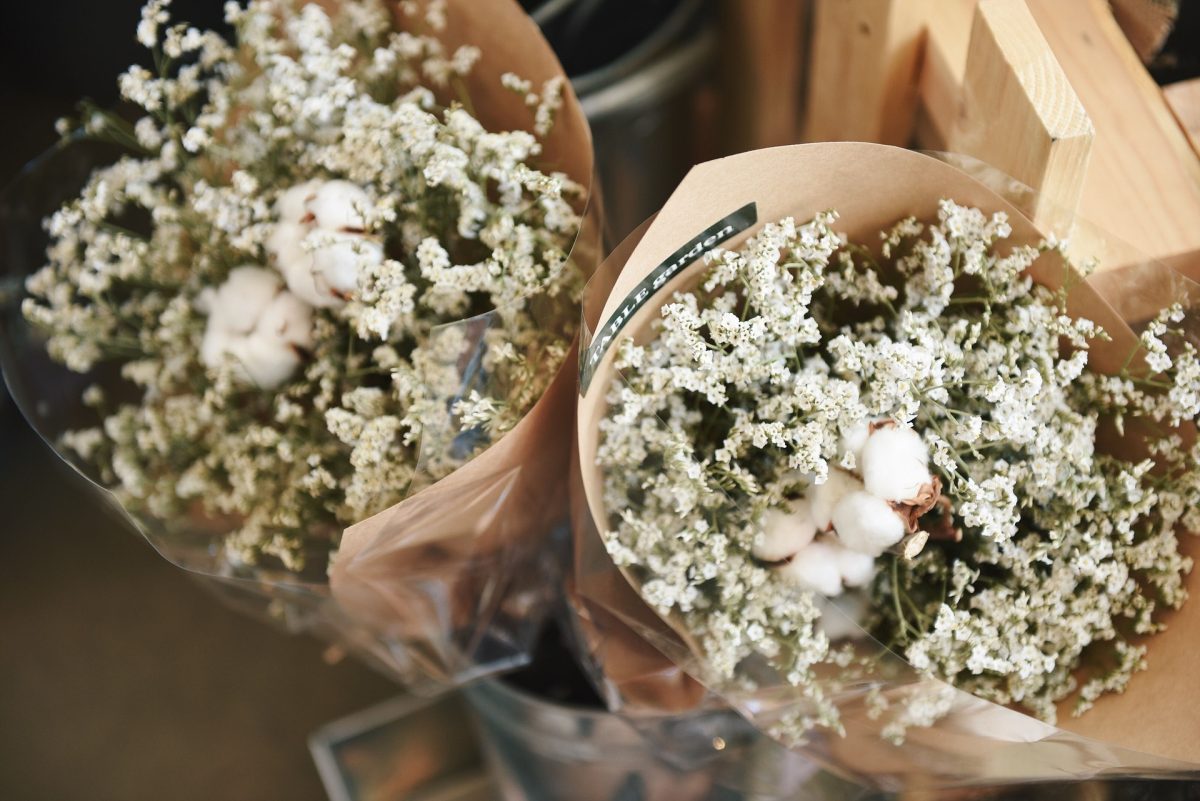 L’image actuelle n’a pas de texte alternatif. Le nom du fichier est : stocksnap-flowers-2568595_1920.jpg