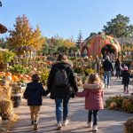 Crédit Angers Info - Ateliers créatifs, Halloween au château d’Angers, Terra Botanica et sorties en famille : voici les activités pour enfants ce jeudi 29 octobre.