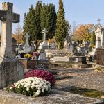 Au cimetière de l’Est, à Angers, le Souvenir Français rendra hommage à Mejlach Honiksfeld et révélera l’histoire de Johann Michalski, deux destins oubliés de la guerre.